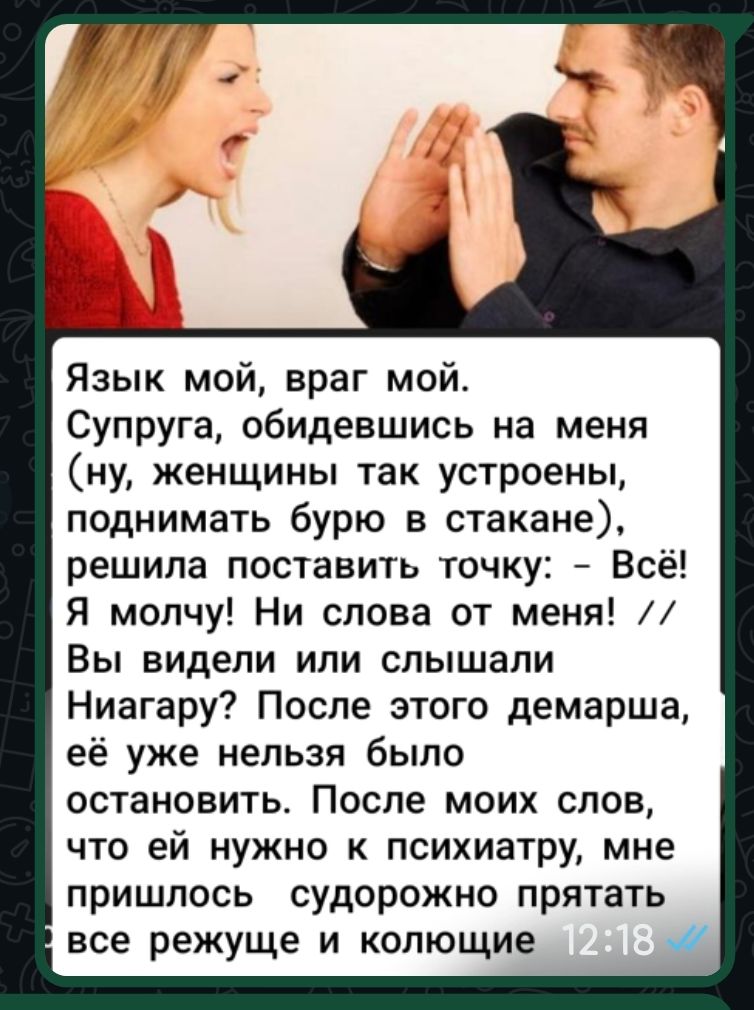Язык мой, враг мой. Супруга, обидевшись на меня (ну, женщины так устроены, поднимать бурю в стакане), решила поставить точку: - Всё! Я молчу! Ни слова от меня! Вы видели или слышали Нигаару? После этого демарша, её уже нельзя было остановить. После моих слов, что ей нужно к психиатру, мне пришлось судорожно прятать все режущие и колющие