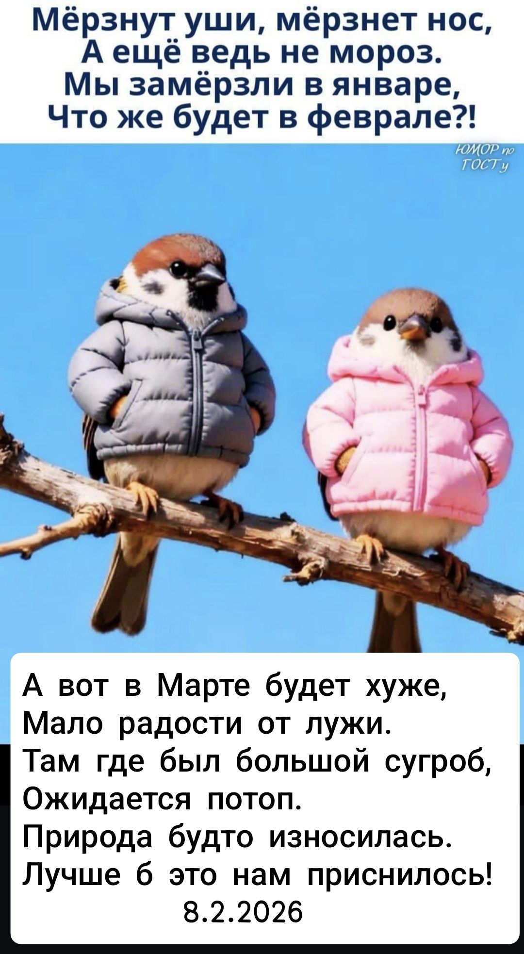 Мёрзнуть уши, мёрзнет нос, А ещё ведь не мороз. Мы замёрзли в январе, Что же будет в феврале?!\nА вот в Марте будет хуже, Мало радости от лужи. Там где был большой сугроб, Ожидается потоп. Природа будто износилась. Лучше бы это нам приснилось! 8.2.2026