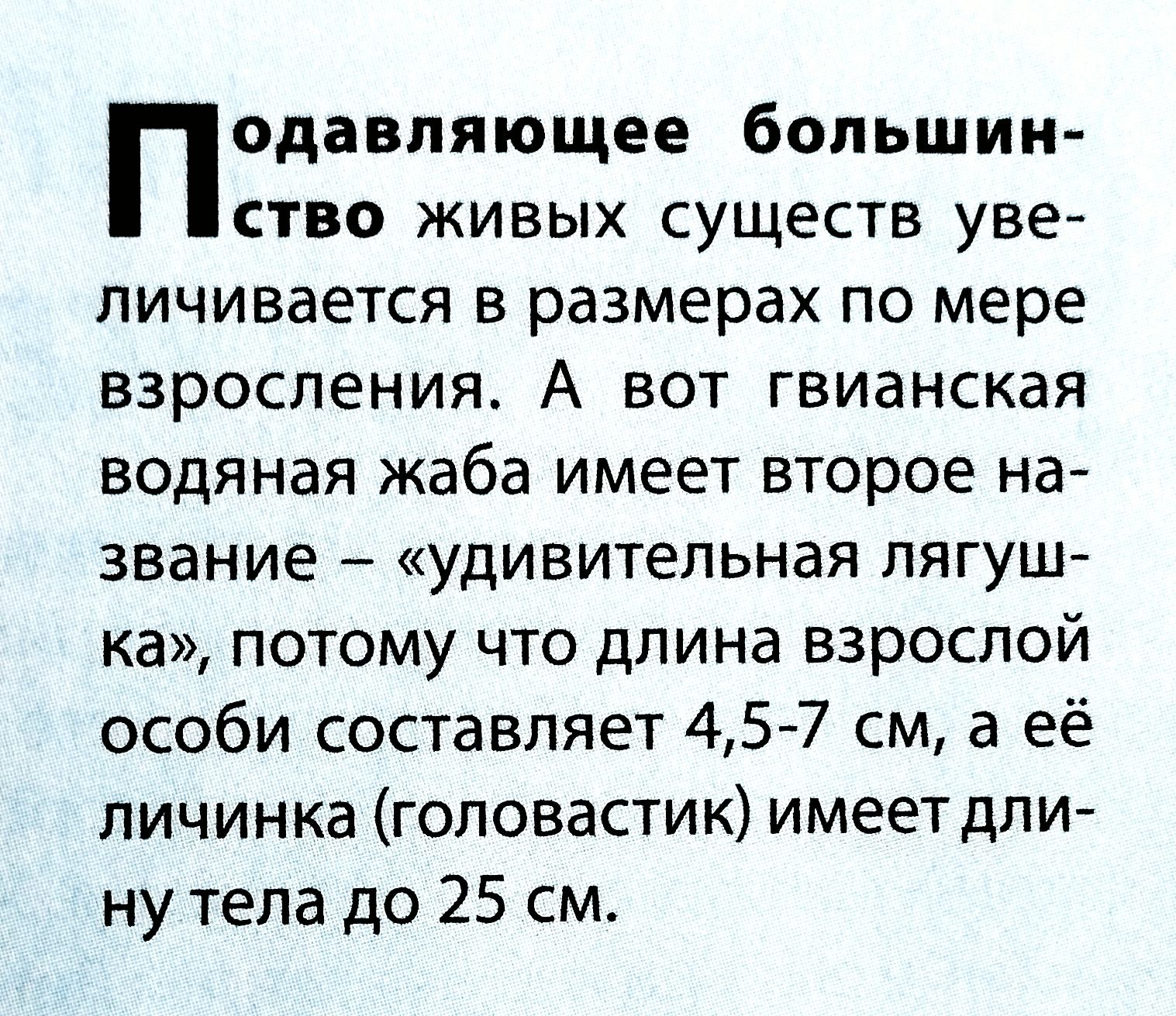 Подавляющее большинство живых существ увеличивается в размерах по мере взросления. А вот гигантская водяная жаба имеет второе название – «удивительная лягушка», потому что длина взрослой особи составляет 4,5-7 см, а её личинка (головастик) имеет длину тела до 25 см.