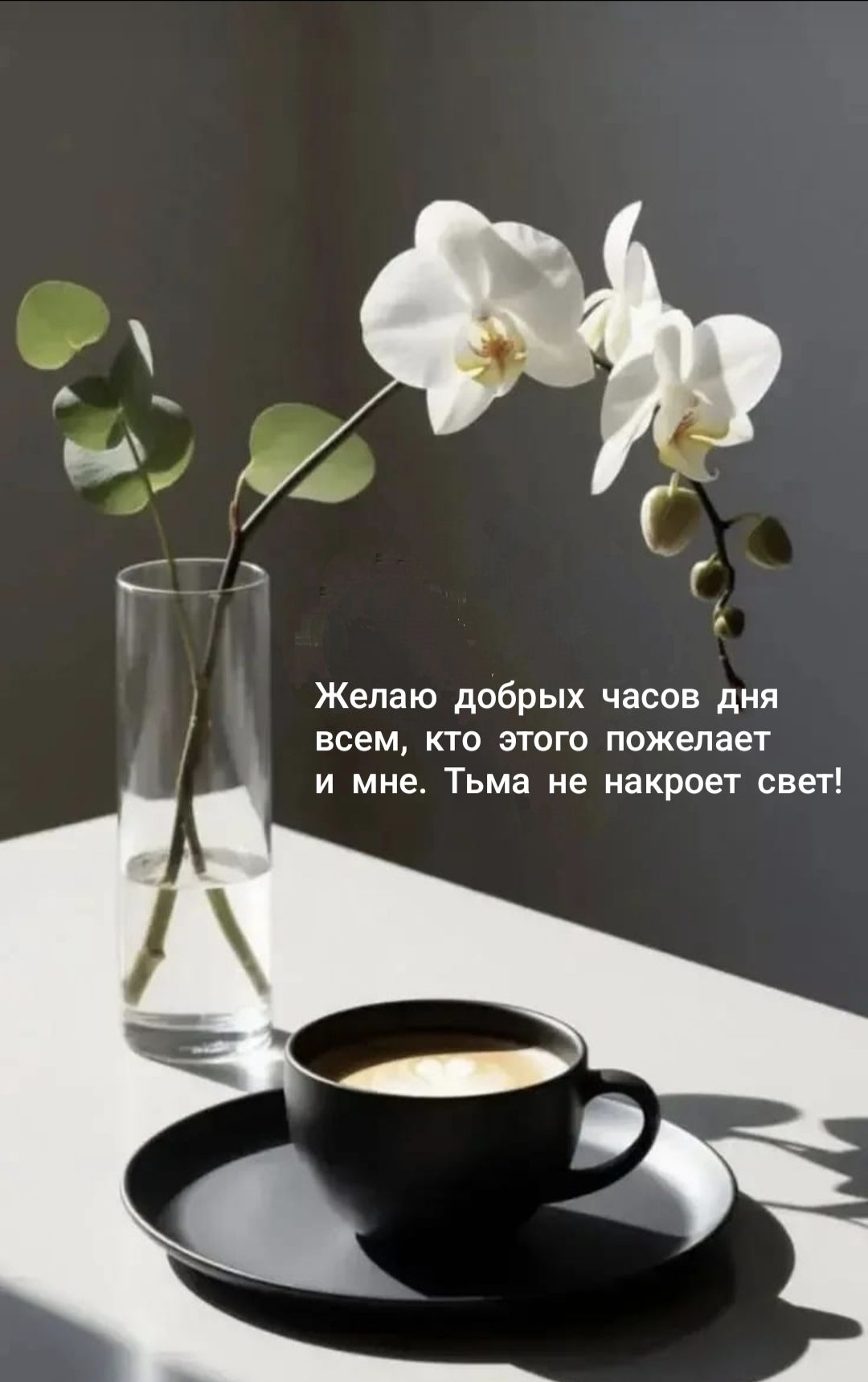 Желаю добрых часов дня всем, кто этого пожелает мне. Тьма не накроет свет!