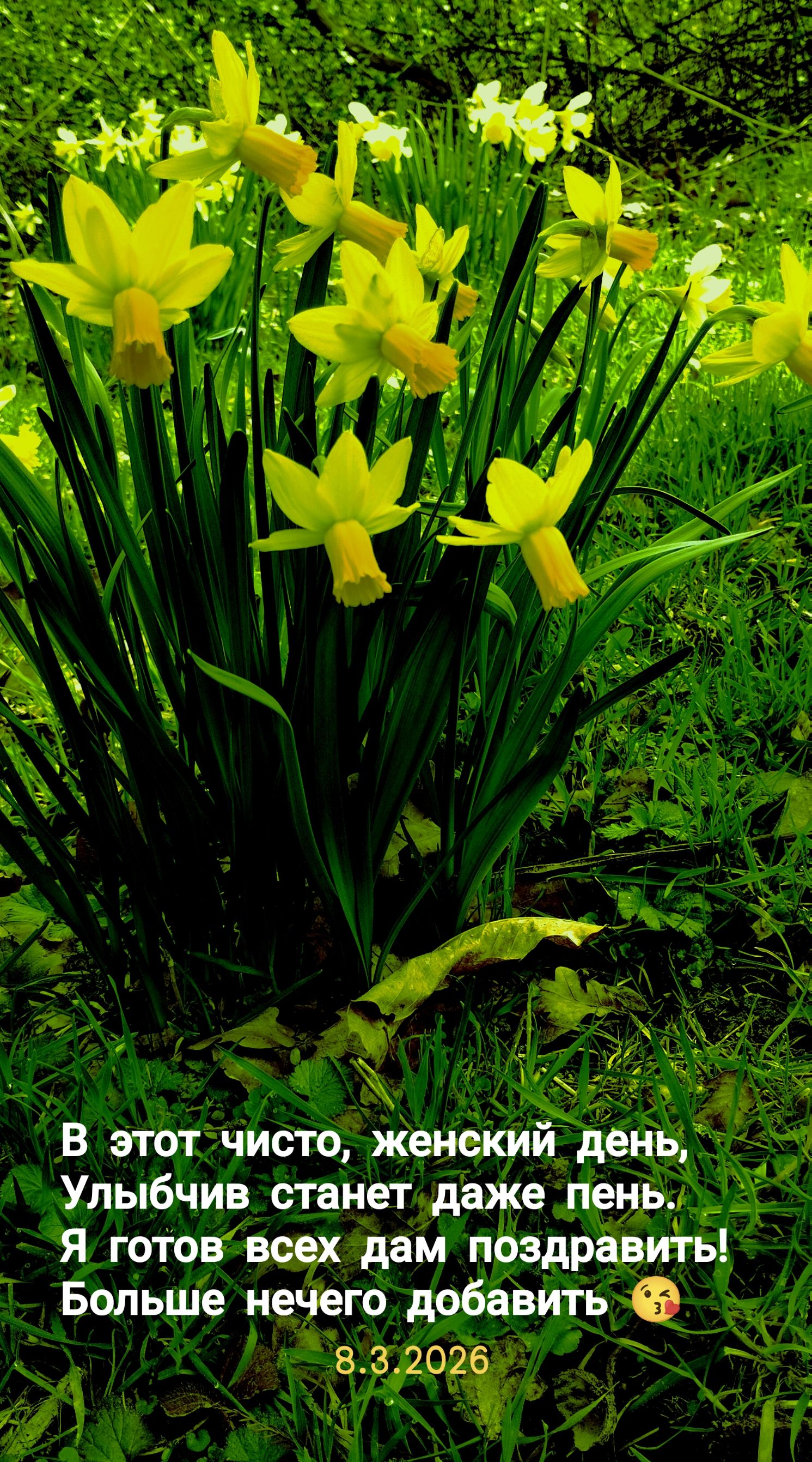 В этот чисто, женский день, Улыбчив станет даже пень. Я готов всех дам поздравить! Больше нечего добавить 😘 8.3.2026