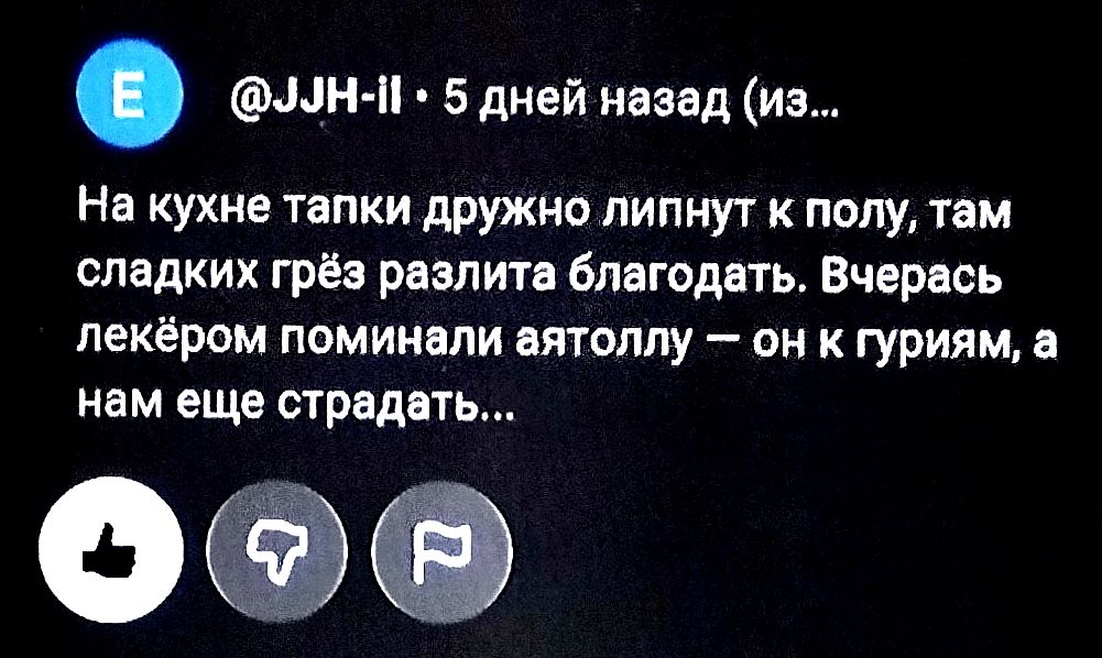 На кухне тапки дружно липнут к полу, там сладких грёз разлита благодать. Вчера лекёром поминали якотлу — он к гуриям, а нам еще страдать...