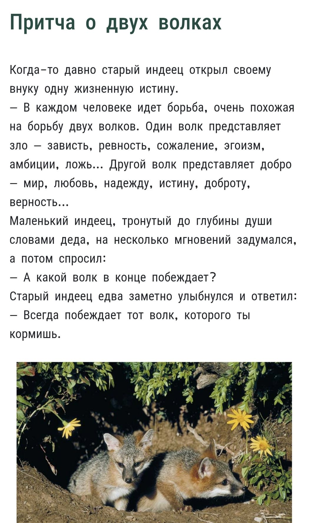 Когда-то давно старый индеец открыл своему внуку одну жизненную истину. В каждом человеке идет борьба, похожая на борьбу двух волков: один — зло: зависть, ревность, ложь; другой — добро: мир, любовь, истина, доброта. Внук спросил: какой волк победит? — Тот, которого ты кормишь.