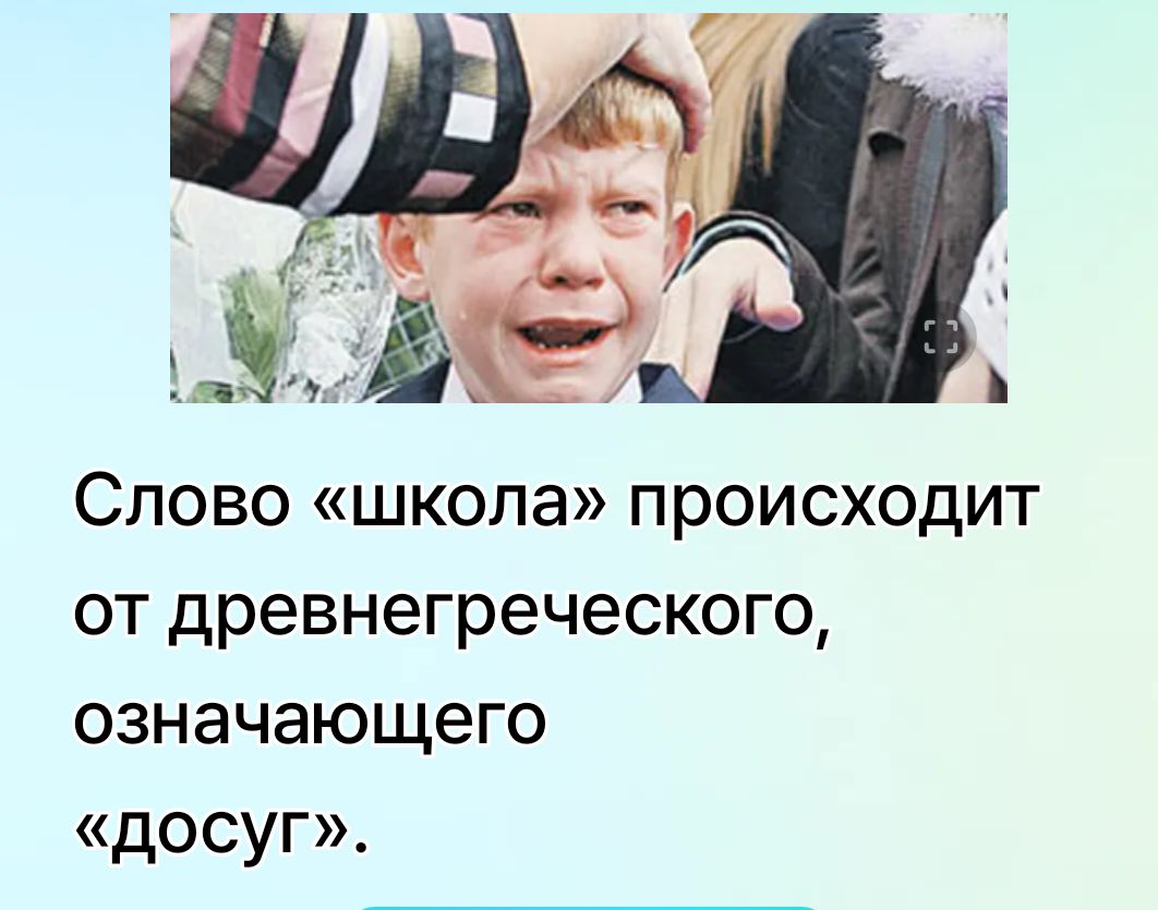 Слово «школа» происходит от древнегреческого, означающего «досуг».