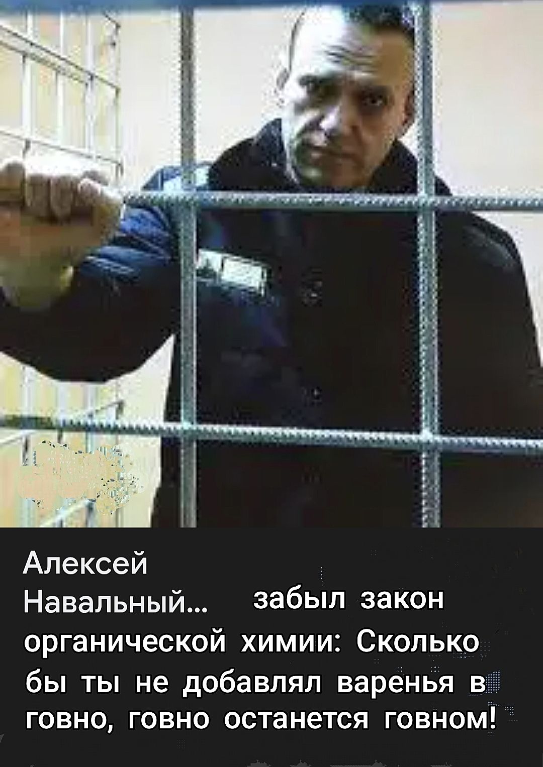 Алексей Навальный... забыл закон органической химии: Сколько бы ты не добавлял варенья в говно, говно останется говном!