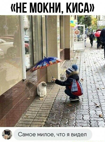 2 Самое милое что я видел