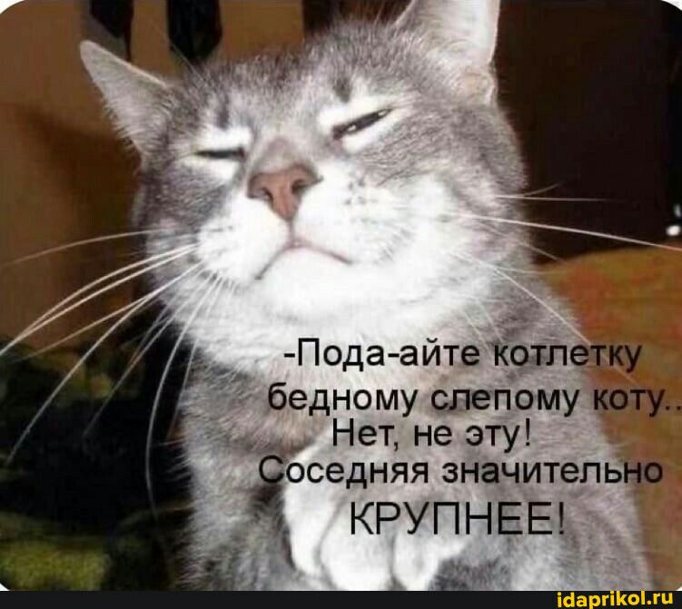 Лодз айтёЁ Бедному сыпому Нет не эту іоседняя знанитеп КРУПНЕЕЪ