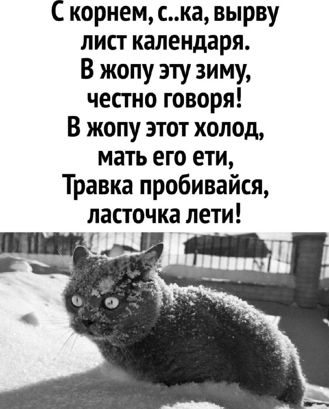 С корнем ска вырву лист календаря В жопу эту зиму честно говоря В жопу этот холод мать его ети Травка пробивайся ласточка лети
