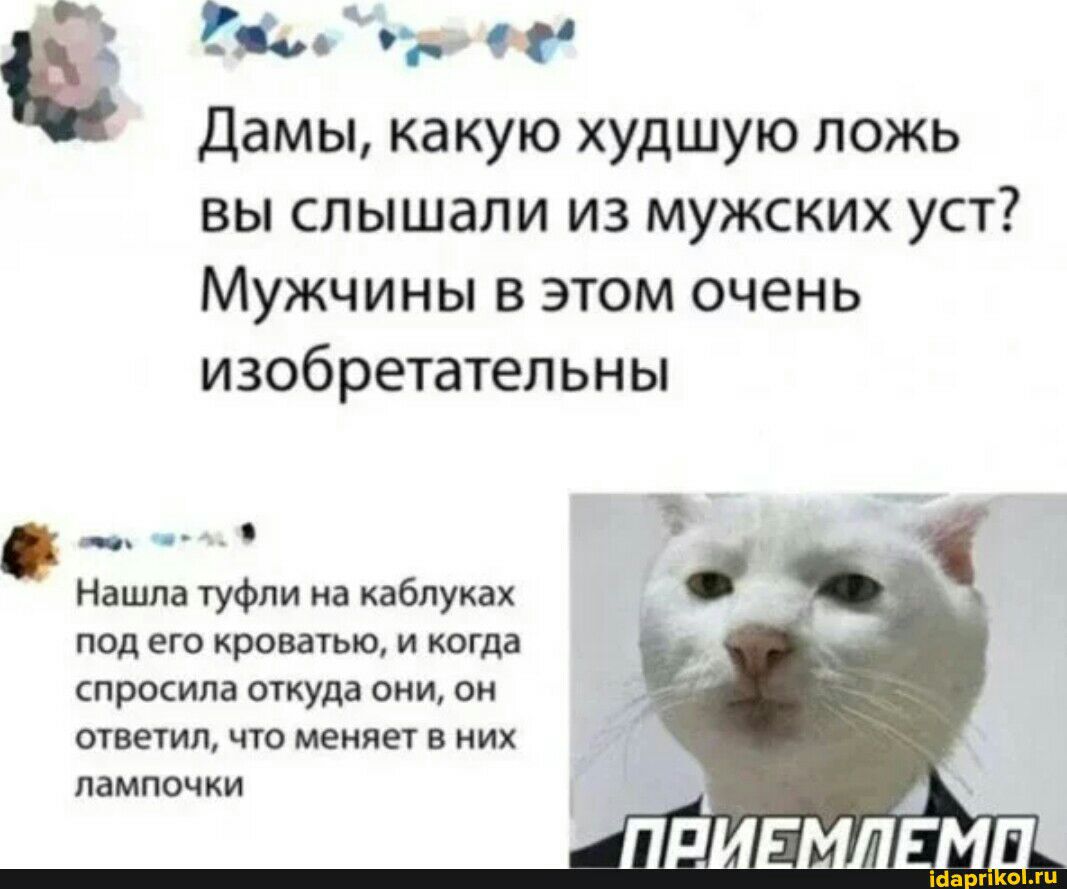 у с Дамы какую худшую ложь ВЫ слышали ИЗ мужских УСТ Мужчины в этом очень Изобретатепьны _ Нанта туфли иа каблуках подегокровагьюмиогдд спросила ткуда сии он ответил что меняет в ких лампочки