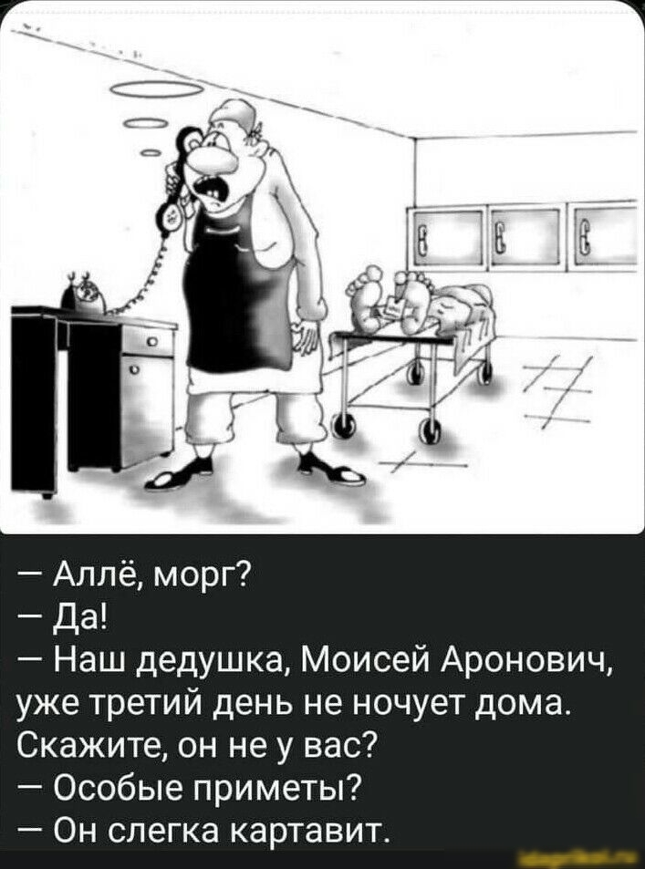 Аллё морг да Наш дедушка Моисей Аронович уже третий день не ночует дома Скажите он не у вас Особые приметы ОН слегка КВрТЭВИТ