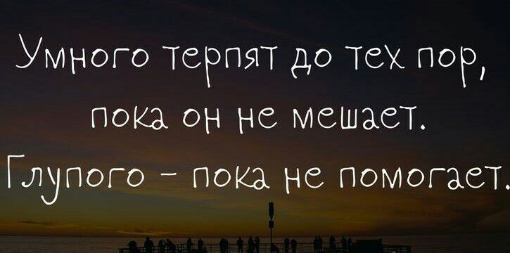 Умного ТЗРПЯТ до Тех пор покз он не мешает Глупого пою не помогает