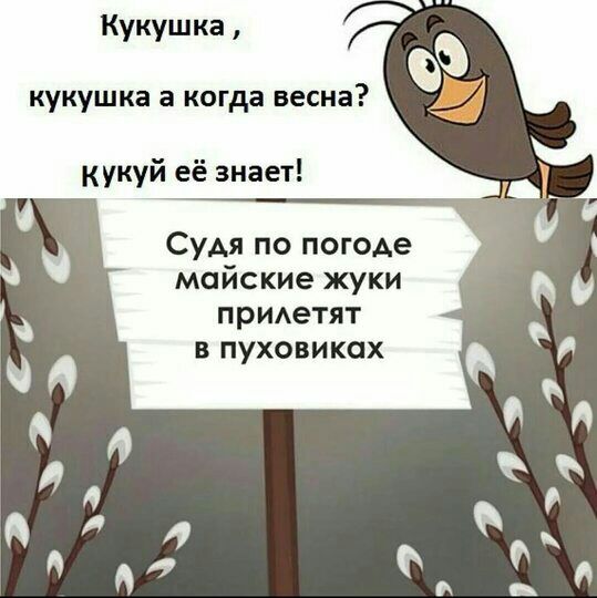 кукушка а когда весна кукуй её знает Судя по погоде майские жуки приетят в пуховиках 0 О ъ 0 0 Ъ Л 4 0 4 _ _ д