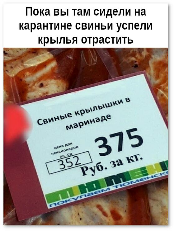 Пока ВЫ там СИДЕЛИ на КЗРЗНТИНЕ СВИНЬИ УСПЕЛИ КРЫЛЬЯ отрастить