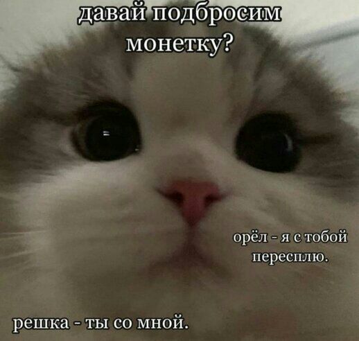 длавайНбдЁреёим монетку і орёл я с тобой пересплю решка ты со мной