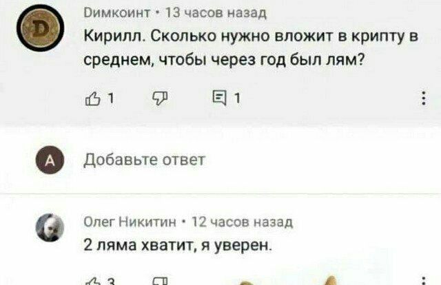 пимкоинт 13 часов назад Кирилл Сколько иужип вложит в крипту в среднем чтобы через год был ням СН 9 ЕП добавьте ответ Опег Никитин п часов назад 2 ляма хватит и уверен А1 п _ А