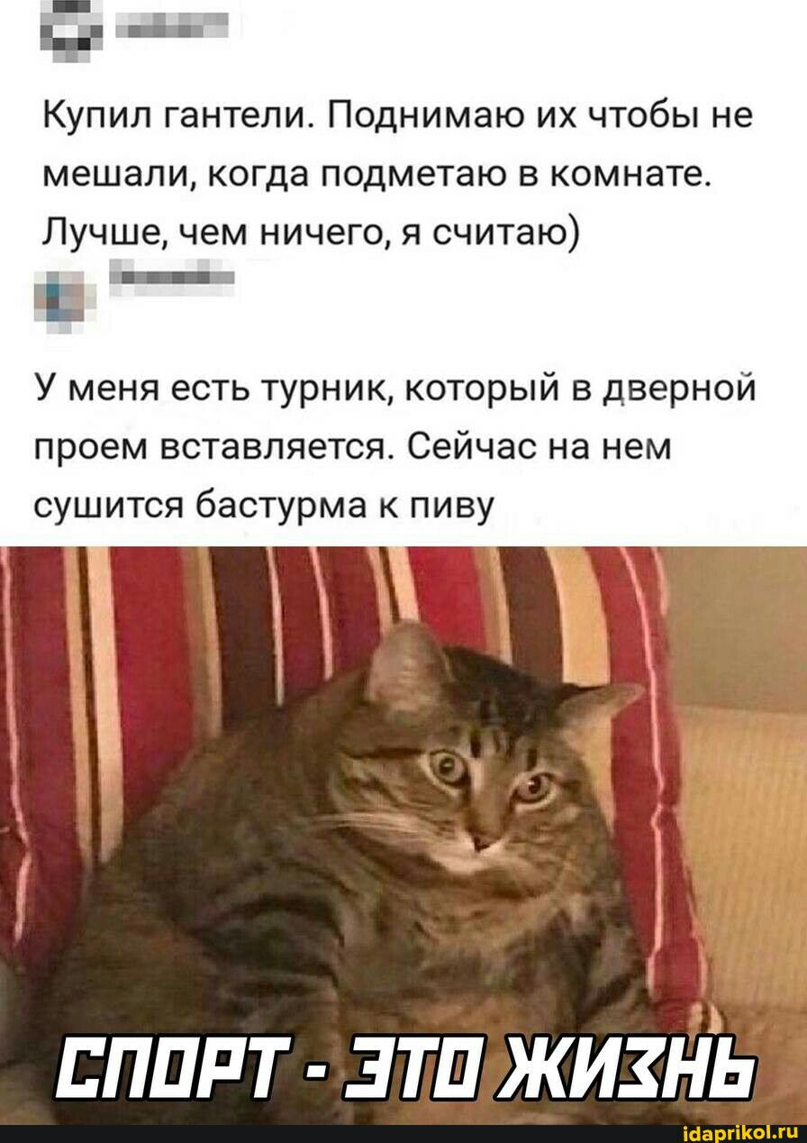 ети Купип гантели Поднимаю их чтобы не мешали когда подметаю в комнате Лучше чем ничего я считаю БИ У меня есть турник который в дверной проем вставляется Сейчас на нем сушится бастурма к пиву ВПШ Т ЗТП ЖИЗНЬ ш