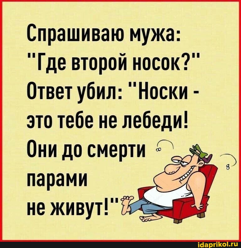 Спрашиваю мужа Где второй носок Ответ убил Носки это тебе не лебеди Они до смерти парами не живут