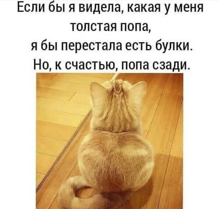 Если бы я видела какая у меня толстая попа я бы перестала есть булки Но к_ счастью попа сзади
