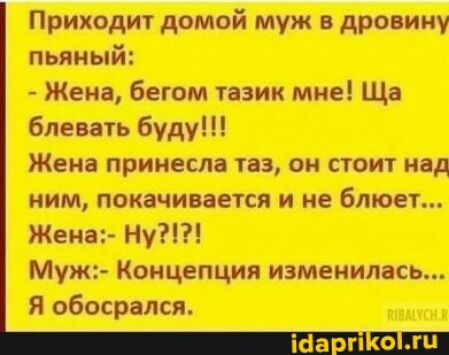 Приходит домой муж в дровину пьяный Жена бегом тазик мне Ща блевать буду Жена принесла таз он стоит над ним покачивается и не блюет Жена Ну Муж Концепция изменилась Я обосрался