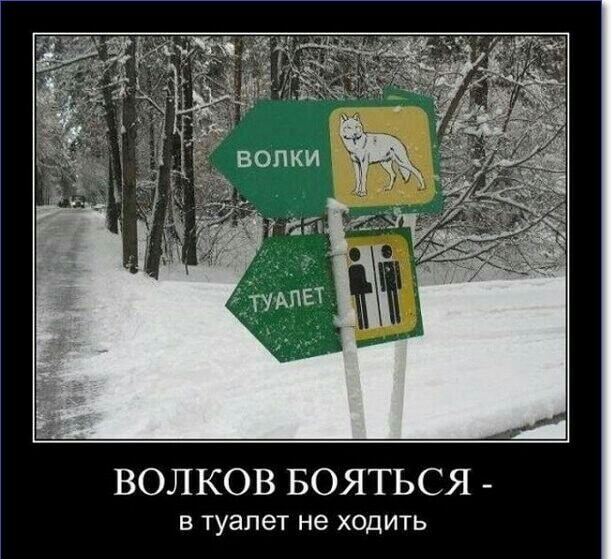 ВОЛКОВ БОЯТЬСЯ в туалет не ходить