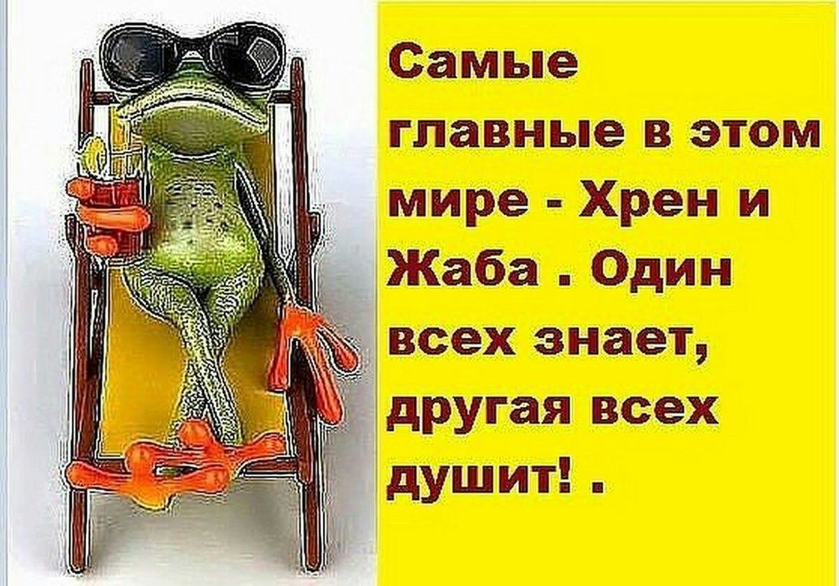 Самые главные в этом мире Хрен и Жаба Один всех знает другая всех душит