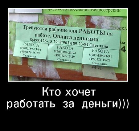 Кто хочет работать за деньги