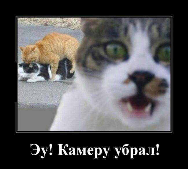 Эу Камеру убрал