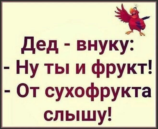 дед внуку Ну ты и фрукт От сухофрукта слышу