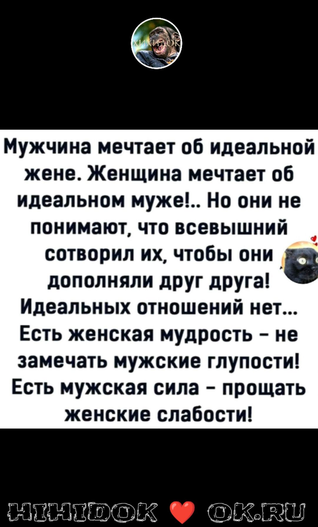 Мужчина мечтает об идеальной жене.