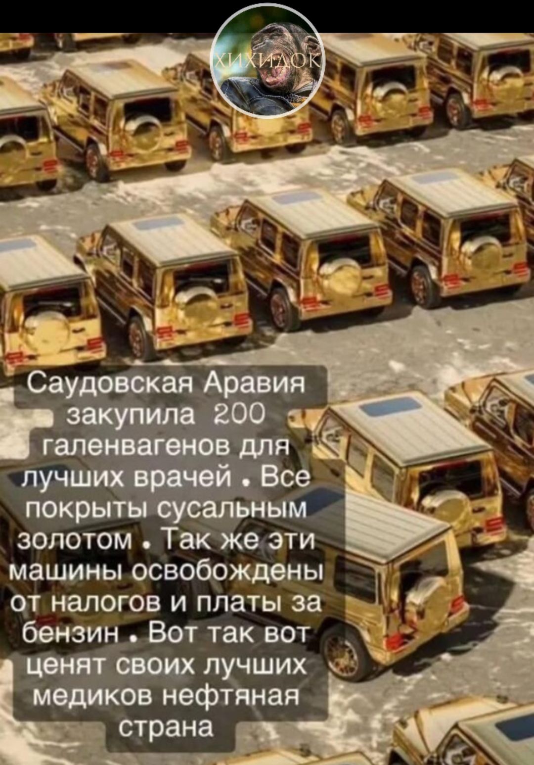 золотом Тайка эти машины освобождены от налогов и платы за бензин Вот так вот П ШИХ неф страна