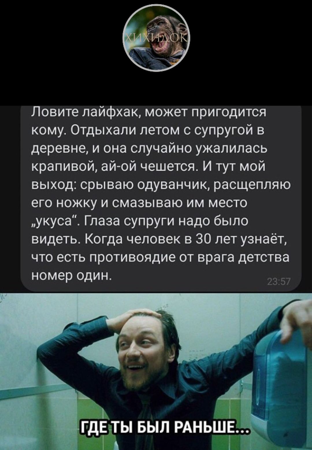 Ловите лайфхак может пригодится кому Отдыхали летом с супругой в деревне и она случайно ужапипась крапивой ай ой чешется И тут мой ВЫХОД СРЫВЭЮ одуванчик расщепляю его ножку и смазываю им место укуса Глаза супруги надо было видеть Когда человек в 30 лет узнаёт ЧТО ЕСТЬ противоядие ОТ врага детства номер ОДИН
