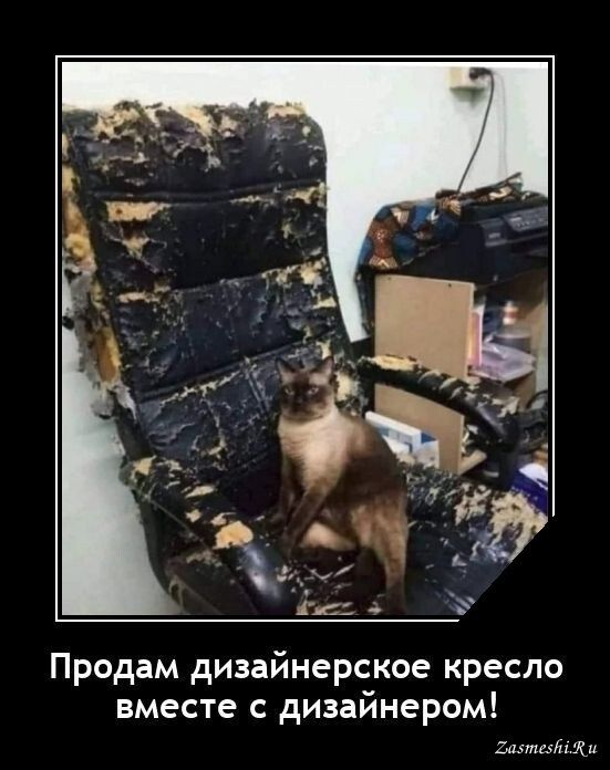 Продам дизайнерское кресло вместе с дизайнером имидж и