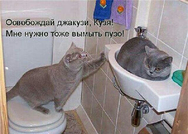 Освебождай джакузи Мне нужно тоже вым А
