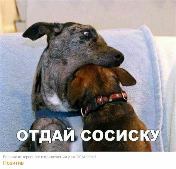 Позитив