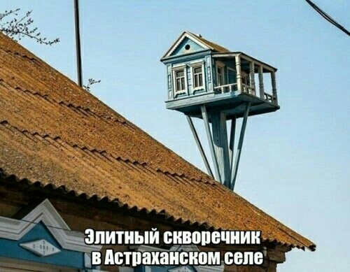 Зпитиьщщцпечиик _ и пчшікаиыюсепе