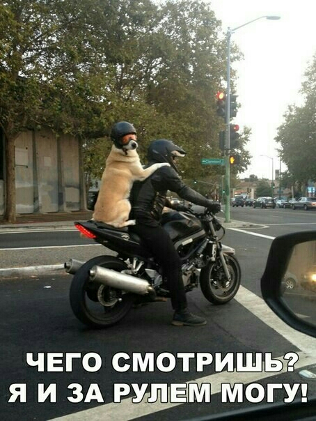 ЧЕГО СМОТРИЬ Я И ЗА РУЛЕМ МОГУ