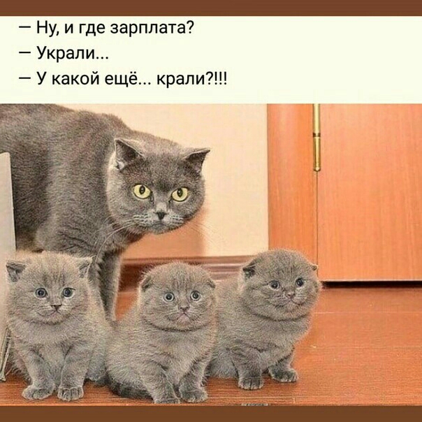 Ну и где зарплата Украли У какой ещё крали