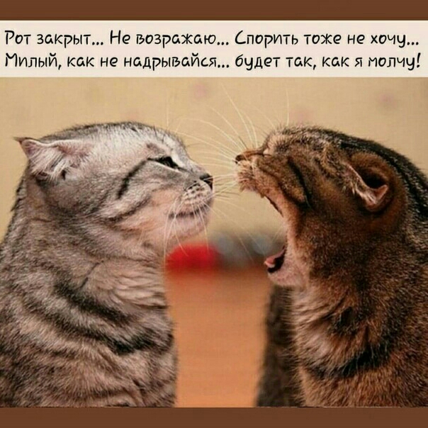 Рот закрыт Не возражаю Спорить тоже не хочу Милый как не надрыгьайсж быдет так как я молчу