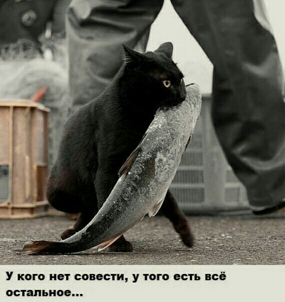 У кого нет совести у того есть всё ОСТЗПЬНОЕ