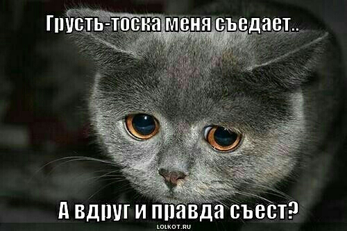 д Вдшп и З ППЯВДЯ СЪВСТЁ