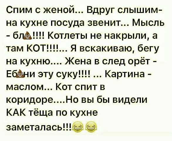 Спим с женой Вдруг слышим на кухне посуда звенит Мысль б Котлеты не накрыли а там КОТ Я вскакиваю бегу на кухню Жена в след орёт Еба М эту суку Картина маслом Кот спит в коридореНо вы бы видели КАК тёща по кухне заметалась