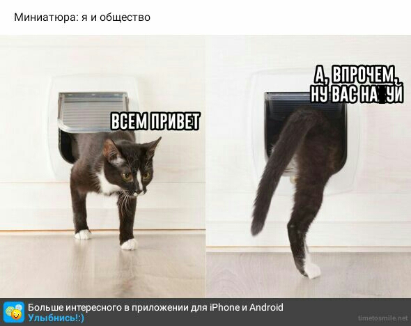 Миниатюра и обществ Больше интересного в припажеиии для лРПвпе и Апбгок