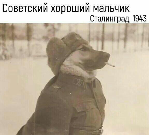 Советский хороший мальчик Сталинград 1945 5