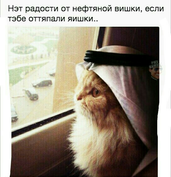 Нэт радости от нефтяной вишки если тебе отгяпали яишки