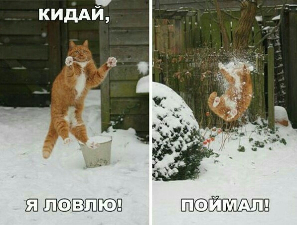 ЕЁ ШЭШ