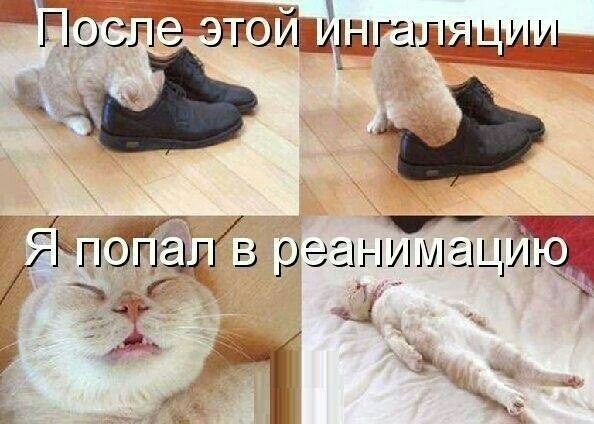 Ш И М Е ЦЩ