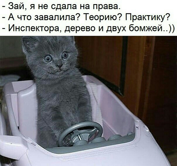 Зай я не сдала на права А что завалила Теорию Практику Инспектора дерево и двух бомжей
