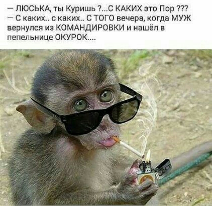 пюськд ты Куришь 7с КАКИХ это Пор 77 С каких в Каких СТОГО вечера когда МУЖ вернулся из КОМАНДИРОВКИ и нашел в пепельница окурок