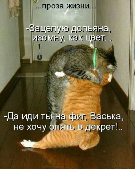 проза жизн