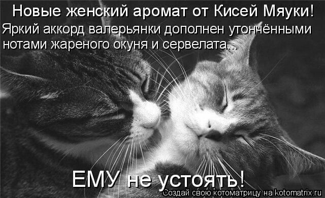 Новые жендкий аромат от Кисей Мяуки Яркий аккорд ВЭПЁЭЬЯНКИ ДОПОПНЭН УТОНёННЫМИ